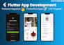 teach you flutter or flutterflow or make your mvp app